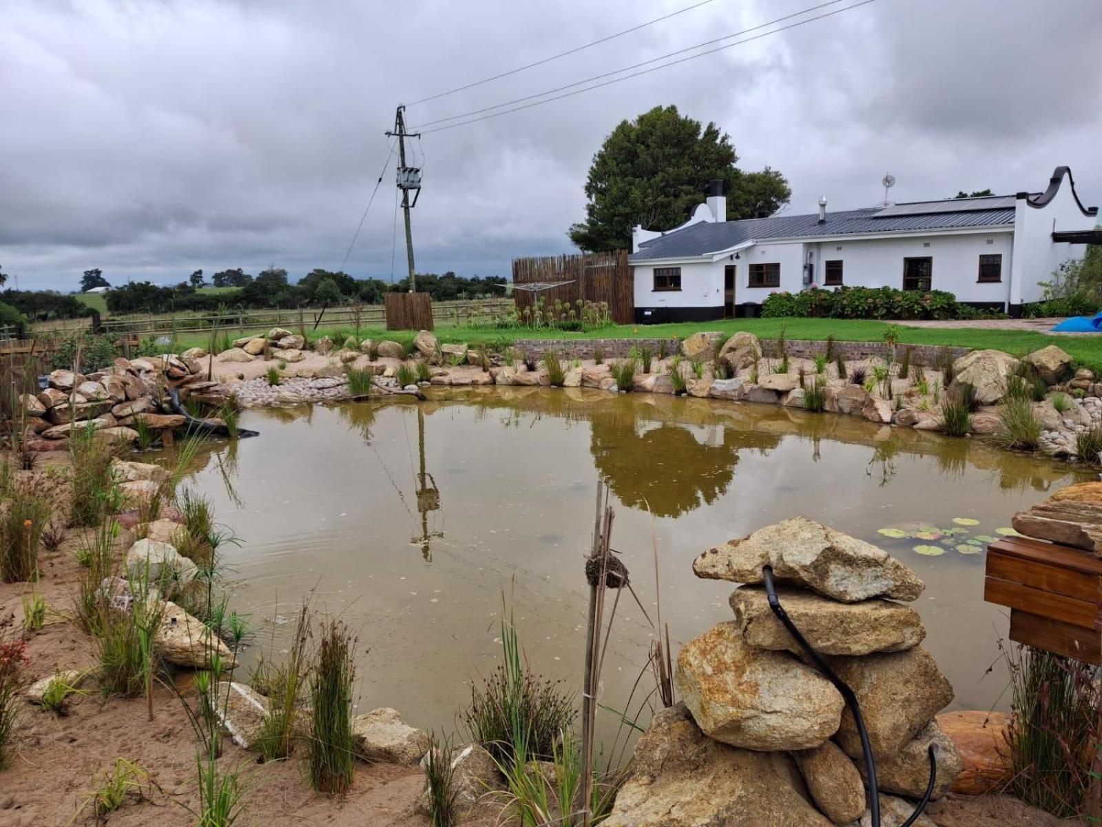 Dunkes Organic Equestrian Estate Apartment George Phòng bức ảnh